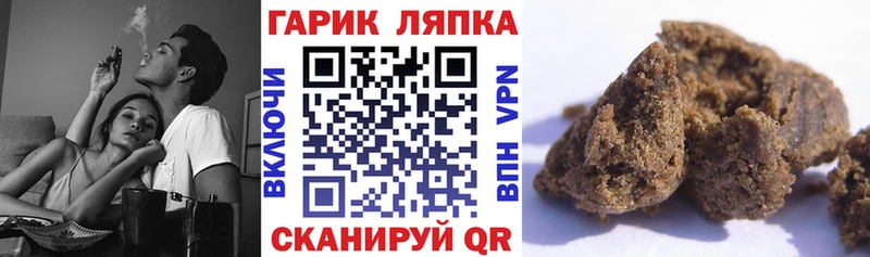 ГАШ Premium  Купить  Пролетарск 