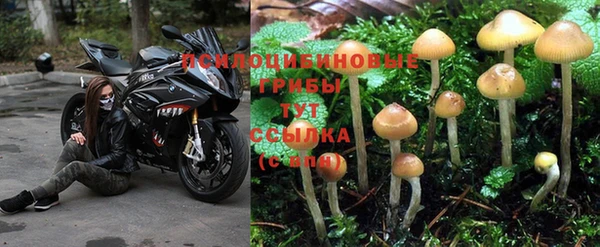 a pvp Карталы
