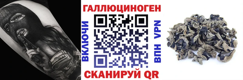Галлюциногенные грибы GOLDEN TEACHER  Купить где  Пролетарск 